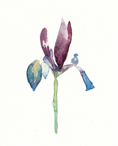 Painting titled "iris2" by Galerie Kawak, Original Artwork, Watercolor