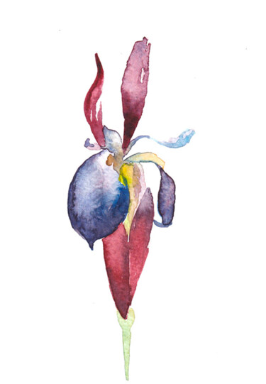 Painting titled "iris3" by Galerie Kawak, Original Artwork, Watercolor