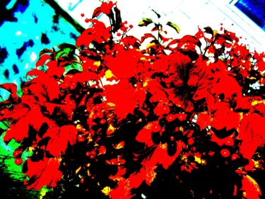 Фотография под названием "Калина красная" - Galina Gonharova, Подлинное произведение искусства