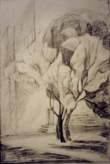 Рисунок под названием "Три дерева под окном" - Galina Gonharova, Подлинное произведение искусства, Карандаш