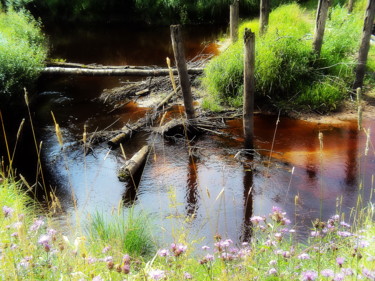 Photography titled "У старого моста" by Galina Gonharova, Original Artwork