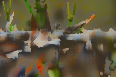 How I Have Changed: Vibrant Silence Photography titled "How I Have Changed:…" by Simone Rau, Original Art, Manipulated Photography