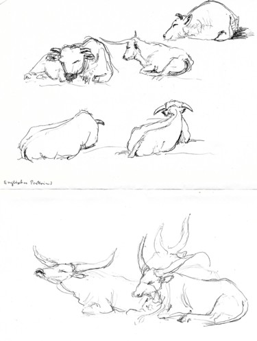 Zeichnungen mit dem Titel "Tierskizzen" von Gallery Schöneweide, Original-Kunstwerk, Kugelschreiber