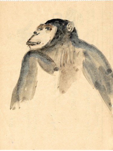 Malerei mit dem Titel "Schimpanse" von Gallery Schöneweide, Original-Kunstwerk, Aquarell