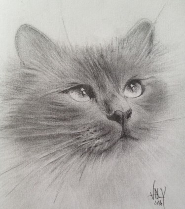Drawing titled "img-5841.jpg" by Valy, Original Artwork, Graphite