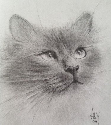 Dessin intitulée "img-5841.jpg" par Valy, Œuvre d'art originale, Graphite