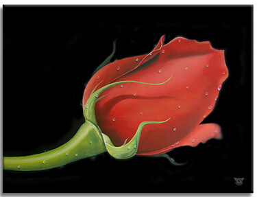 Painting titled "Red Rose" by Gardani, Original Artwork, Oil Mounted on Wood Stretcher frame