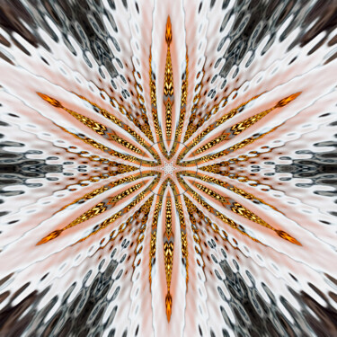 Digitale Kunst getiteld "Golden Snowflake" door Gareth P Jones, Origineel Kunstwerk, Digitale fotografie