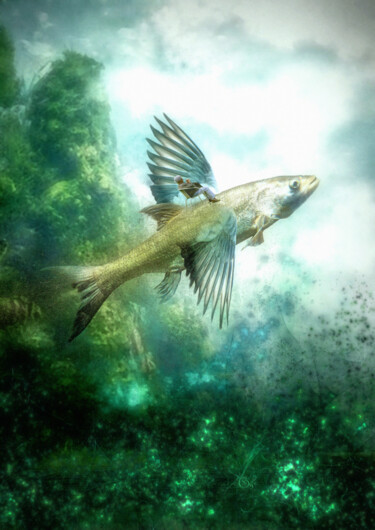 제목이 "Fliegender Fisch"인 디지털 아트 Garrulus Glandarius로, 원작, 디지털 페인팅