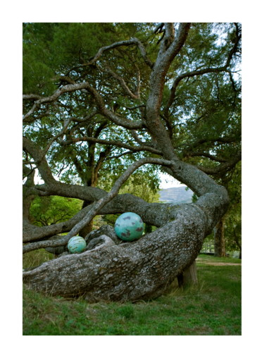 Skulptur mit dem Titel "arbre-et-spheres.jpg" von Sculpteur Gary, Original-Kunstwerk