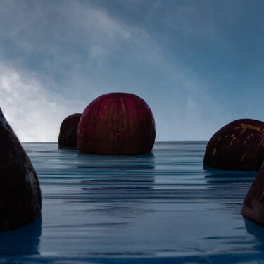 Photographie intitulée "Rondeurs marines" par Gaspard De Gouges, Œuvre d'art originale, Photographie numérique