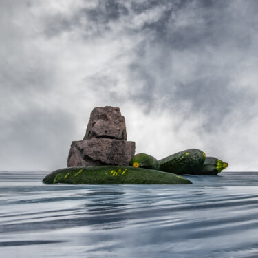 Fotografie mit dem Titel "zucchini island 1" von Gaspard De Gouges, Original-Kunstwerk, Digitale Fotografie