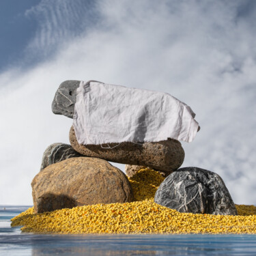 Fotografie mit dem Titel "Pollen Zen 7" von Gaspard De Gouges, Original-Kunstwerk, Digitale Fotografie