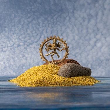 摄影 标题为“Pollen Zen 8” 由Gaspard De Gouges, 原创艺术品, 数码摄影