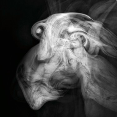 Photographie intitulée "Smoke 26" par Gaul, Œuvre d'art originale, Photographie numérique