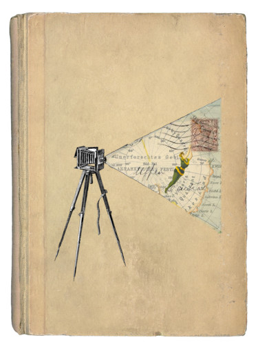 Цифровое искусство под названием "Map" - Solange Gautier, Подлинное произведение искусства, Коллажи
