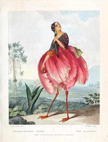 Arte digitale intitolato "Mademoiselle FLAFLA…" da Solange Gautier, Opera d'arte originale, Collages