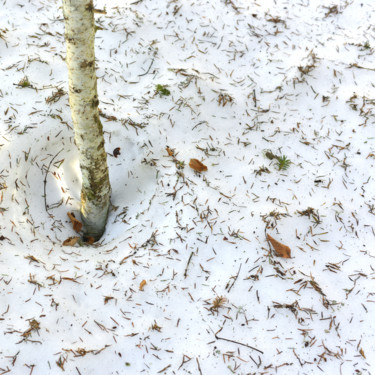 Photographie intitulée "Bouleau dans la nei…" par Christophe Jeanjean, Œuvre d'art originale, Photographie numérique