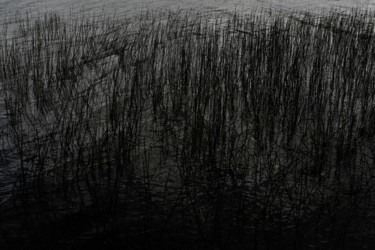 Fotografía titulada ""Bord de lac"" por Christophe Jeanjean, Obra de arte original, Fotografía digital
