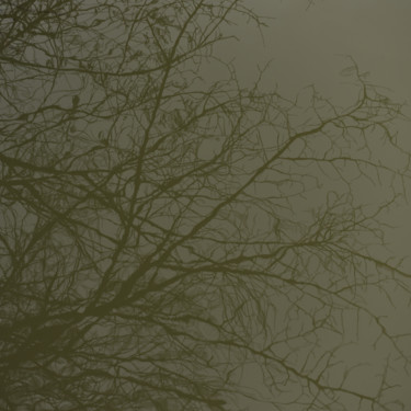 Photographie intitulée "Reflet de l'arbre" par Christophe Jeanjean, Œuvre d'art originale, Photographie numérique