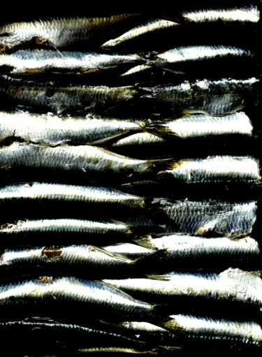 Photography titled "Sardines" by Christophe Jeanjean, Original Artwork, Digital Photography