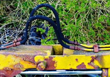 Photographie intitulée "Oil-black snakes .." par Gerrit Cnossen, Œuvre d'art originale, Photographie non manipulée