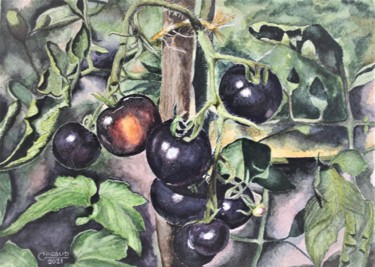 Painting titled "Les tomates noires" by Gérard Nicaud, Original Artwork, Watercolor
