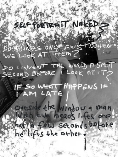 Digitale Kunst mit dem Titel "Self Portrait Naked" von Gee Shepherd, Original-Kunstwerk, 2D digitale Arbeit