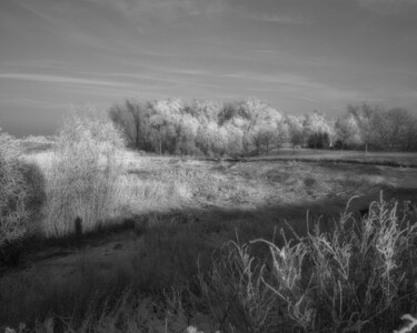 Photography titled "River Landscape II" by Geert Lemmers, Original Artwork, Manipulated Photography Mounted on Plexiglass