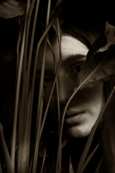 摄影 标题为“Hiding place - 50x7…” 由Gelu Stanculescu, 原创艺术品, 数码摄影