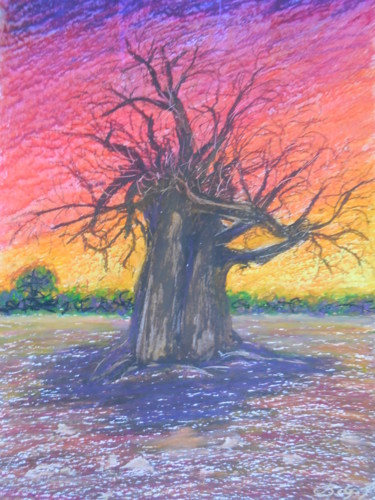 Pintura intitulada "Le Baobab au Burkin…" por Genevieve Fraysse, Obras de arte originais, Pastel