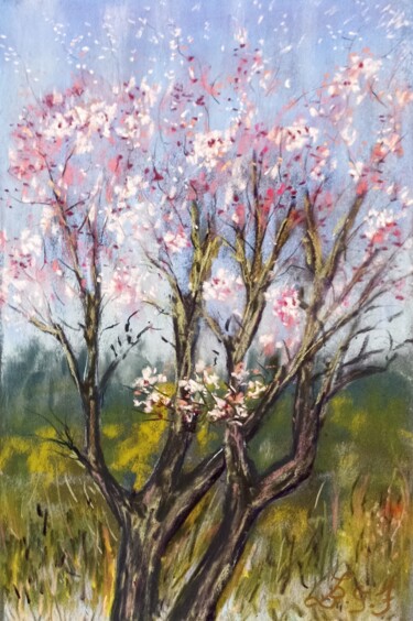 Peinture intitulée "Amandiers en fleurs" par Genevieve Fraysse, Œuvre d'art originale, Pastel