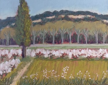 Pittura intitolato "Les cerisiers nains…" da Genevieve Fraysse, Opera d'arte originale, Pastello