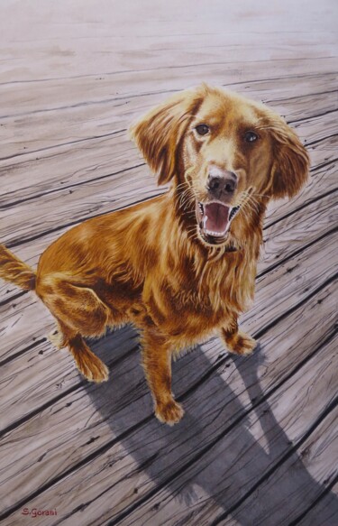 Painting titled "Golden Retriever" by Geni Gorani, Original Artwork, Watercolor