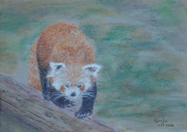 Dessin intitulée "Panda roux" par Geoffroy Jooris, Œuvre d'art originale, Pastel