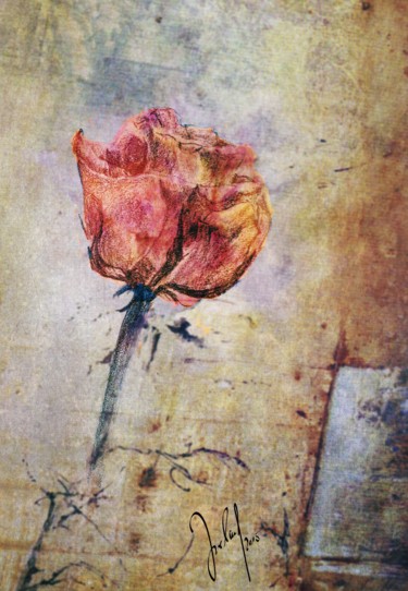 Digitale Kunst mit dem Titel "just a rose" von Georg Ireland, Original-Kunstwerk, Digitale Malerei