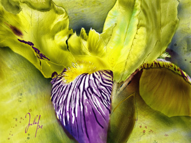 Digital Arts titled "blooming" by Georg Ireland, Original Artwork, Digital Painting
