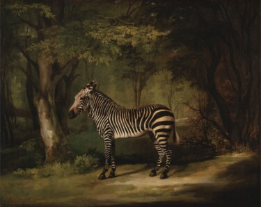 Painting titled "Zèbre" by George Stubbs, Original Artwork, Oil
