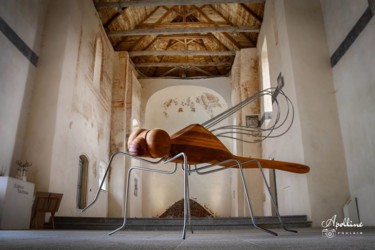 Sculpture intitulée "sculpture-libellule…" par Marc Georgeault, Œuvre d'art originale, Métaux