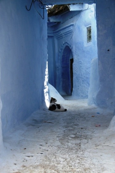 Photographie intitulée "Chat Maroc" par George Bacque, Œuvre d'art originale