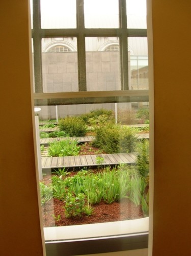 Photographie intitulée "Jardin innaccessibl…" par George Bacque, Œuvre d'art originale