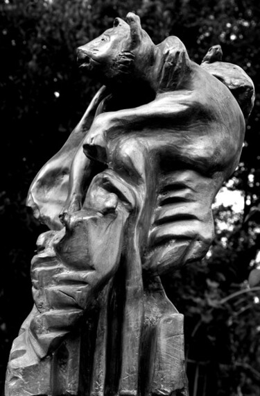 Sculpture intitulée "Territory fight (fr…" par Georges Duhamel, Œuvre d'art originale