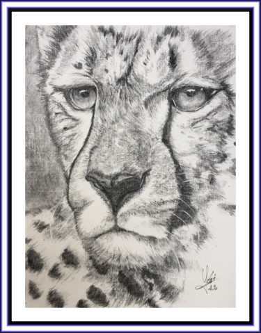 Drawing titled "guépard" by Georges Godé, Original Artwork, Charcoal
