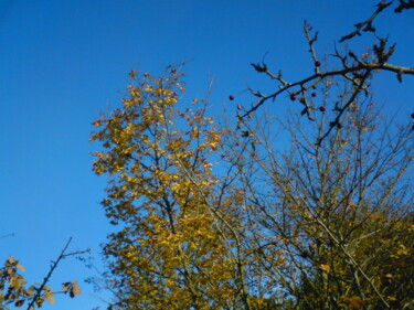 Photographie intitulée "Automne ensoleillé.…" par Georges Roques, Œuvre d'art originale