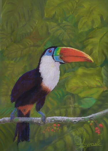 Peinture intitulée "Le toucan dans son…" par Georges Szmalc, Œuvre d'art originale, Pastel Monté sur Panneau de bois