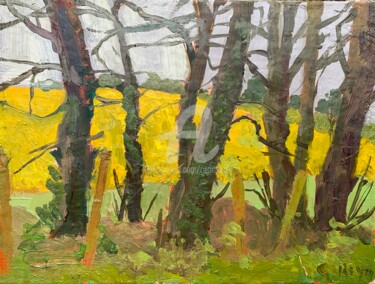 Schilderij getiteld "Yellow Rape Field." door Georgina Rey, Origineel Kunstwerk, Olie