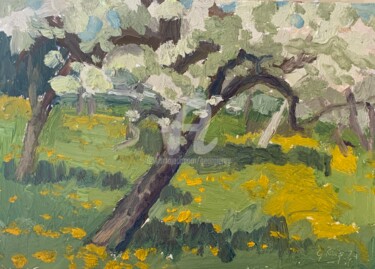 Painting titled "Apple Blossom" by Georgina Rey, Original Artwork, Oil