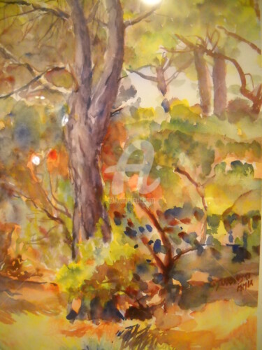 Pintura intitulada "olor a pinos" por Gérald Janowski, Obras de arte originais, Aquarela