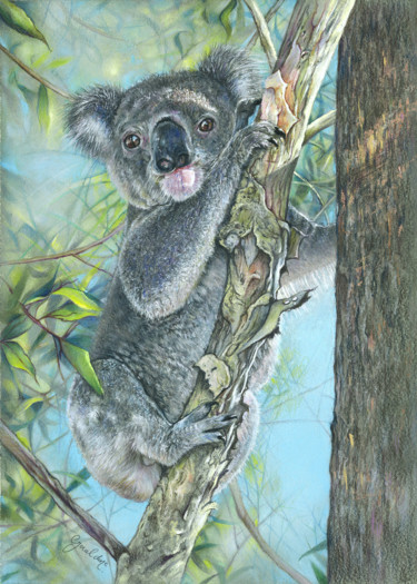Drawing titled "High in the Tree to…" by Geraldine Simmons, Original Artwork, Pastel