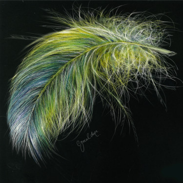 Drawing titled "Floating on a Breeze" by Geraldine Simmons, Original Artwork, Scratchboard
